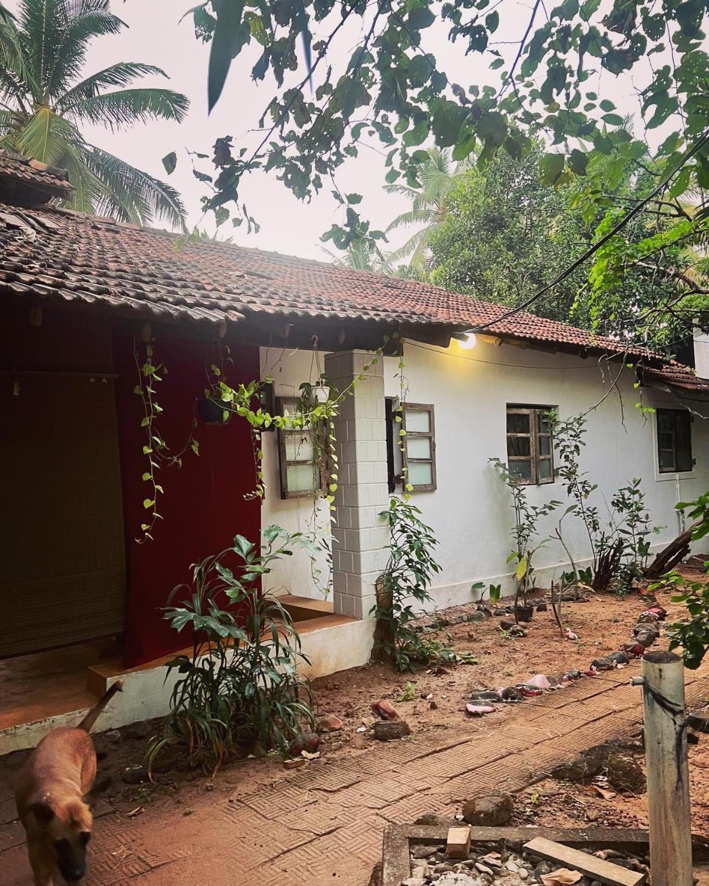 The Wild Flower! Anjuna Exterior foto